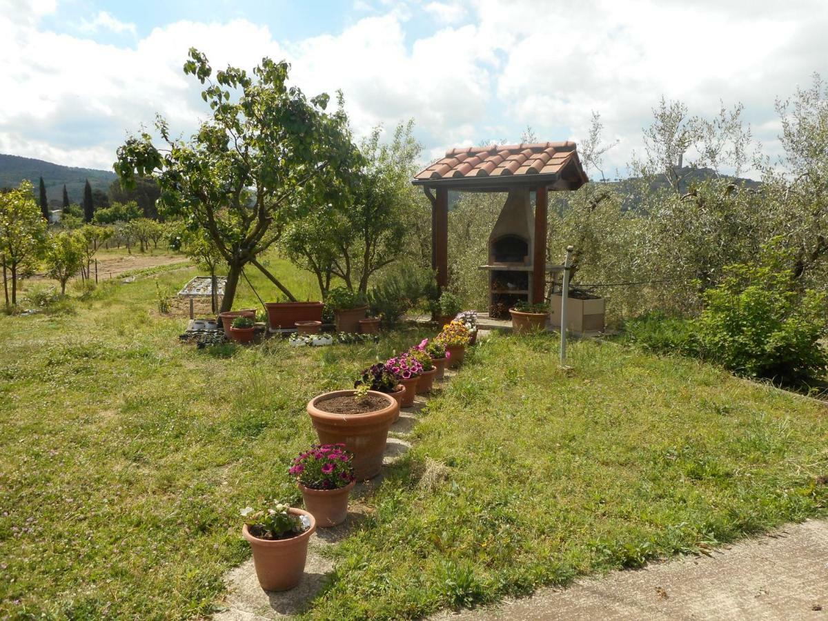 Poggio Fiorito Daire Castiglion Fiorentino Dış mekan fotoğraf