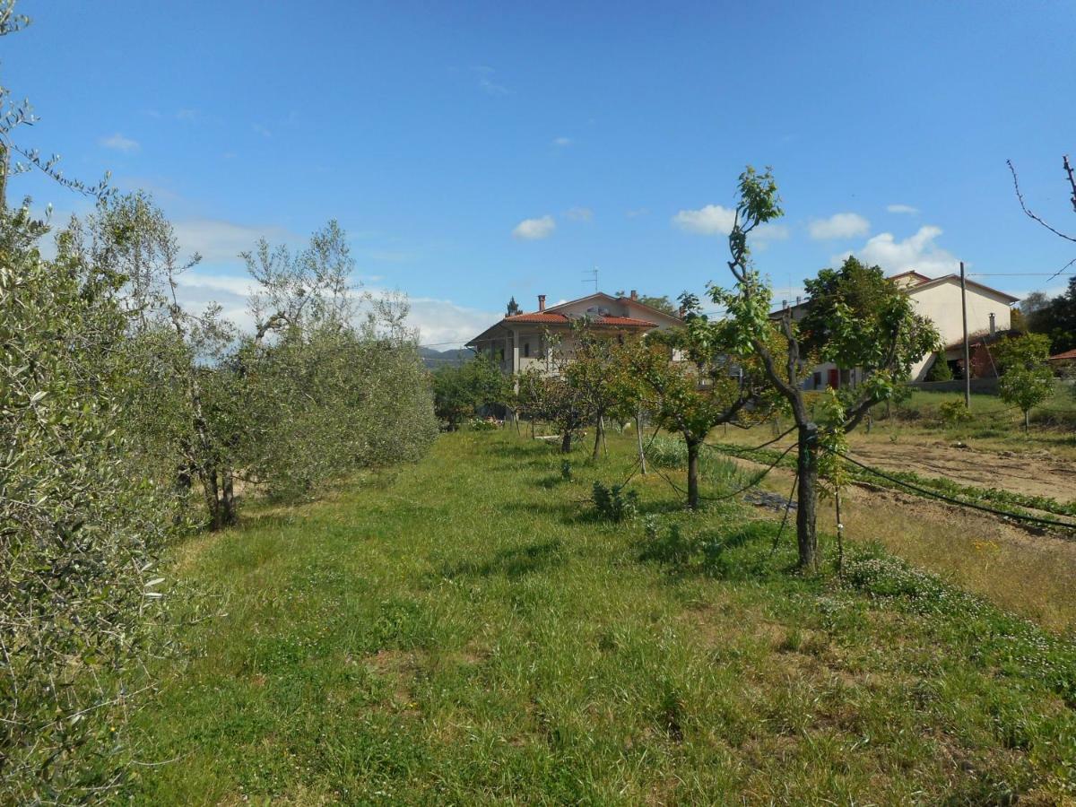 Poggio Fiorito Daire Castiglion Fiorentino Dış mekan fotoğraf